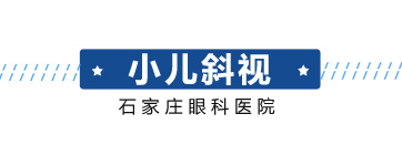今年会com