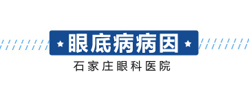今年会com