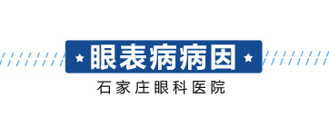今年会com