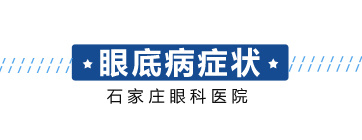 今年会com