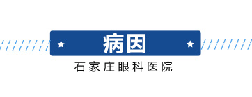今年会com